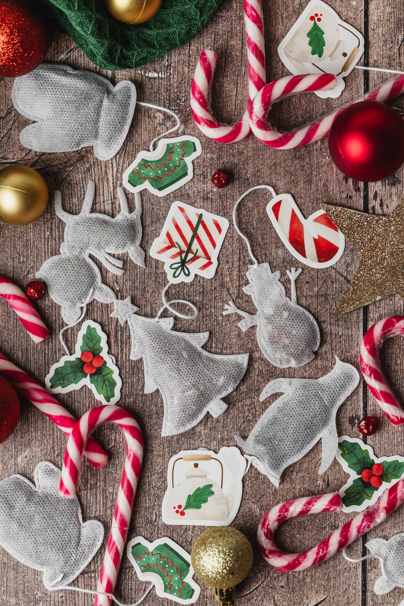 Coffret de Noël – 10 thés d’hiver illustrés par Sonia Innocenti
